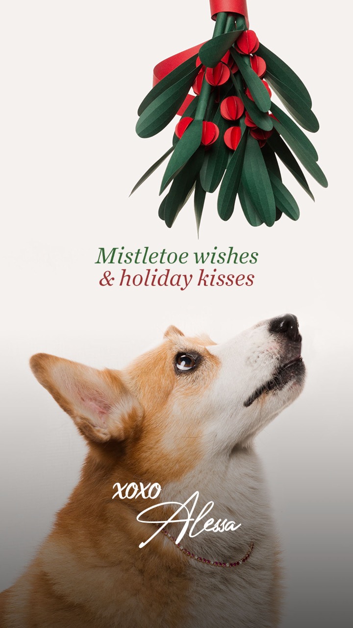 mistletoe-campaign-alessa-jewlery-christmas