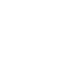 N1CO